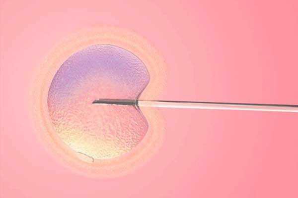西安代孕怎样移植胚胎|汕头试管胚胎移植前要准备什么？6点试管移植前注意事