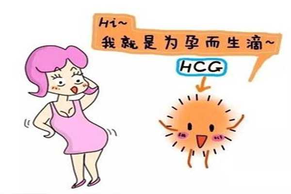 染色体异常胎停育_胎停y染色体异常_泰国试管婴儿为什么要注射HCG？
