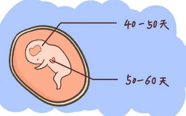 西安专业供卵机构地址 西安市产假期间工资计算标准 ‘孕五月b超单看男女’